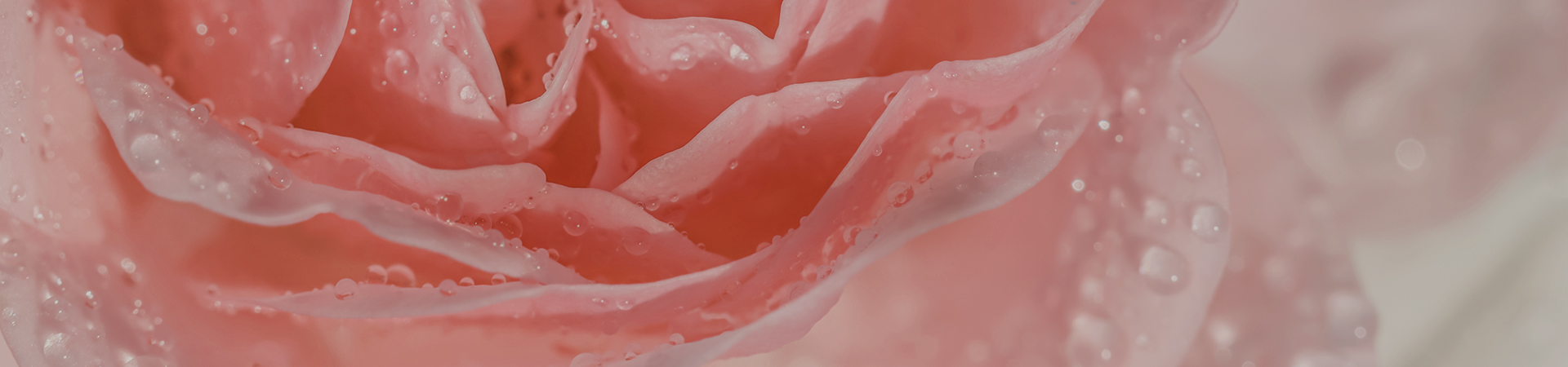 아름다움의 시작